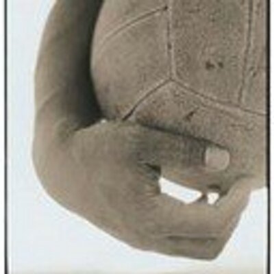 Profile Picture of Chris Veldman (@ChrisNTO) on Twitter