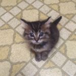 Profile Picture of Jeff Daigle (@jedaigle) on Instagram