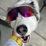 Profile Picture of Joshua McNeal (@j.t.mac) on Instagram