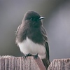 Profile Picture of ruthies work (@ruthies work) on Flickr