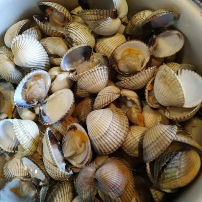 Profile Picture of Steven Cortinas Mort (@cerillote17) on Twitter