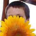 Profile Picture of Robin Haley Iller (@rhaleyiller) on Pinterest