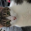 Profile Picture of Alicia Artner (@@aliceartner) on Tiktok