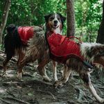 Profile Picture of Omar Linton (@omar.linton) on Instagram