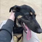 Profile Picture of Kenneth Bundock (@kenny.bundoc) on Facebook