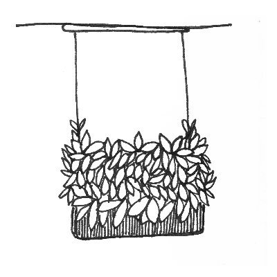 Profile Picture of Juan Orjuela (@juanorloz) on Twitter