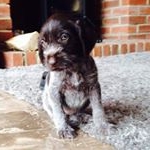 Profile Picture of Bob Bainbridge (@bob.bainbridge) on Instagram