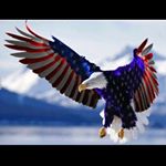 Profile Picture of Barry O'Curran (@n2hd1956) on Instagram