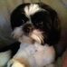 Profile Picture of Mark Ridling (@mark.ridling.5) on Facebook