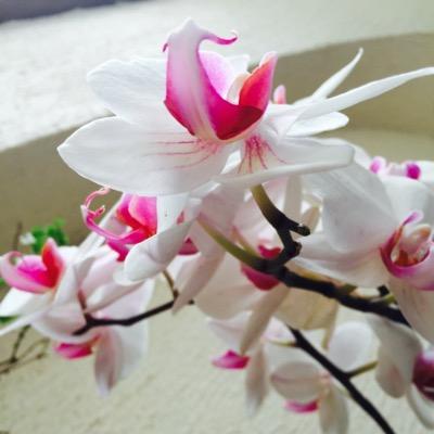 Profile Picture of Alba Ramírez (@AlbaRamrez3) on Twitter