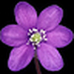 Profile Picture of Wilslol (@wilslol) on Flickr