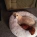 Profile Picture of Nancy Dombrowski (@nancy.dombrowski.50) on Facebook