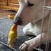 Profile Picture of Silvia Launert (@launertsilvia) on Pinterest