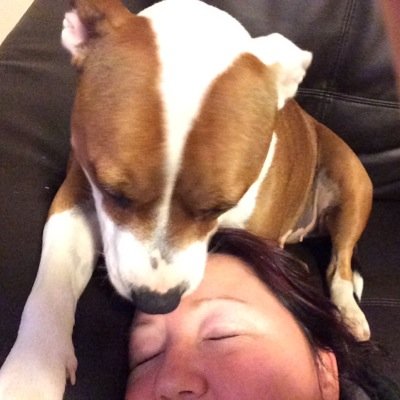 Profile Picture of Melissa Hahn (@Mel69Hahn) on Twitter