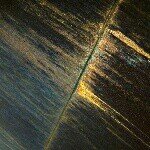 Profile Picture of Allison Gillus (@a_gillus) on Instagram