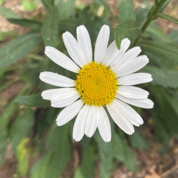 Pam Rison - Poshmark Profile Picture of Pam Rison (@pamdrison) on Poshmark