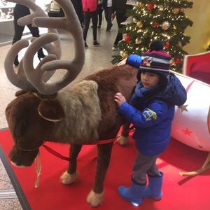 Profile Picture of Boban Jovanović (@BobanJovanovi2) on Twitter