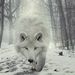Profile Picture of John Grindle (@grindle53) on Pinterest