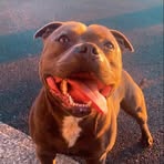 Profile Picture of Darren O Donoghue (@darren.odonoghue.739) on Facebook