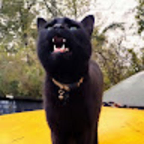 Profile Picture of Bobby Visicaro (@bobbyvisicaro) on Poshmark