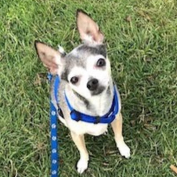 Natalie Liakopoulos - Poshmark Profile Picture of Natalie Liakopoulos (@n_liakopoulos) on Poshmark