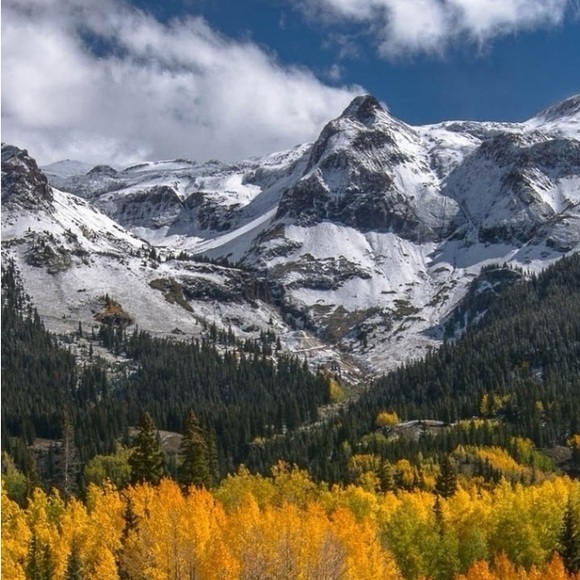 Profile Picture of Andrew Gagnon (@thesmugglersbay) on Poshmark