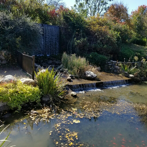 Profile Picture of Dawn Gidzinski (@gidzinski) on Poshmark