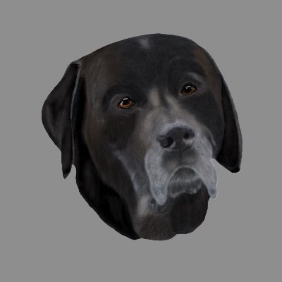 Profile Picture of Barry Henderson (@barryhenderson_) on Twitter