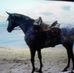 Profile Picture of David Steverson (@david.steverson.92) on Facebook