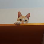 Profile Picture of Titia Murphy (@alphonse.rodrigue.5) on Facebook