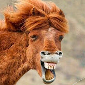 Profile Picture of David Shawn (@Davidsh123funny) on Youtube