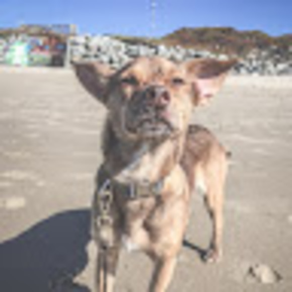 Profile Picture of Lily Ivanova (@lilyivanova) on Poshmark