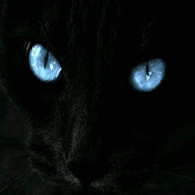 Profile Picture of Benny Silva (@bennysilva8987) on Youtube