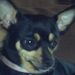 Profile Picture of Rhonda Tuttle (@rhondatuttle) on Pinterest