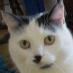 Profile Picture of Nancy Huddleston (@nancylhuddleston) on Instagram