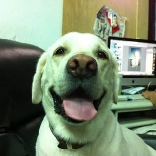 Profile Picture of 徐福 (@fuhsu) on Instagram