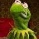 Profile Picture of Joel Gellerman (@highashell3651) on Myspace