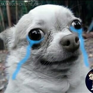 Profile Picture of Skyler Harrison (@AshyPaola) on Twitter