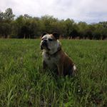 Profile Picture of Ryan Skipper (@ryskippy) on Instagram