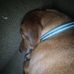 Profile Picture of Jennifer Slusher (@jennifer.slusher.735) on Facebook