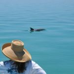 Profile Picture of Stephanie Burke Scuderi (@keyscookie) on Instagram