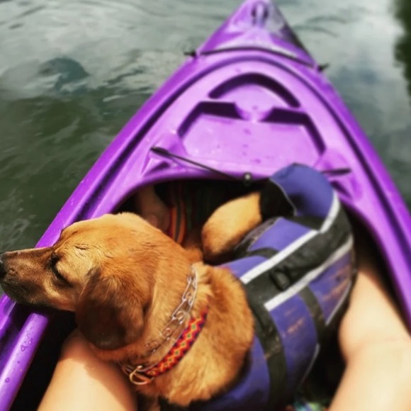 Deborah Lacrosse - Poshmark Profile Picture of Deborah Lacrosse (@deblacrosse) on Poshmark