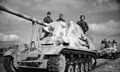 Profile Picture of Marder IIon Wikipedia