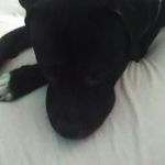 Profile Picture of Buddy Jacob (@buddy.jacob2017g) on Instagram