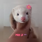 Jordan Shamir Gonzales - Facebook Profile Picture of Jordan Shamir Gonzales (@JShamirG) on Facebook