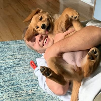 Profile Picture of Benjamin Johnston (@TheBenHammer) on Twitter