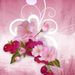 Profile Picture of Debbie Skaats Prego (@deborahskaatspr) on Pinterest