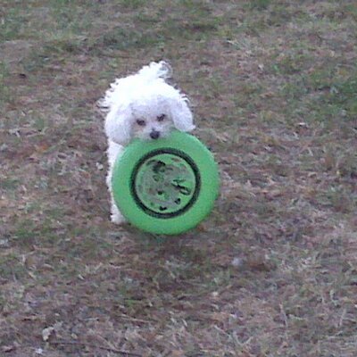 Profile Picture of Gary McCormick (@garywmack) on Twitter