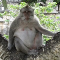 Profile Picture of Brian Ackley (@brian-ackley-4) on Quora