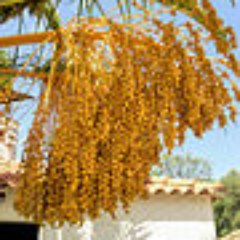 Profile Picture of Brent Gonzales (@gonzalesbrent91) on Twitter